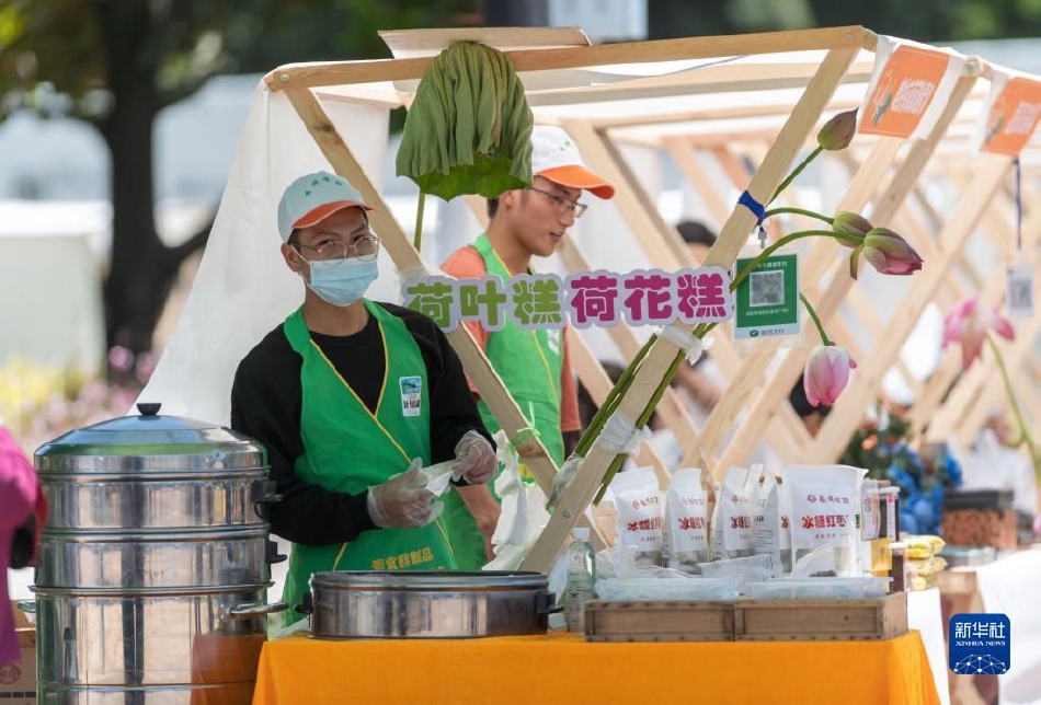 美女脱一光二净
