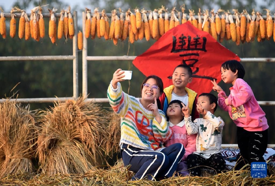Xxxx高清丰满熟妇视频