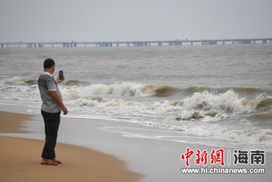 蝌蚪窝视频在线观看