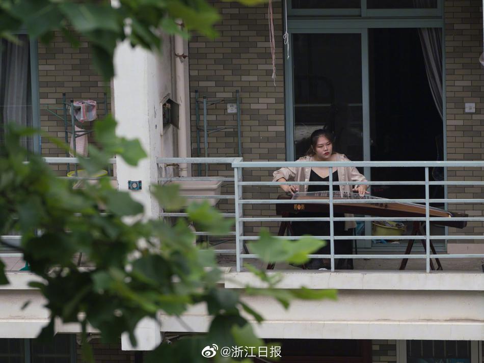 男插女软件