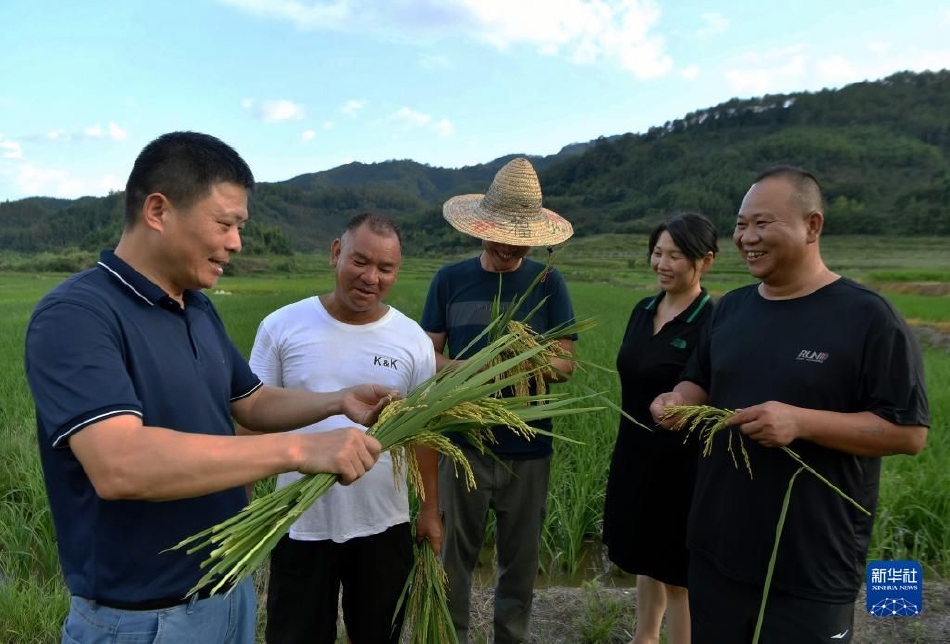 嫩草影院入口 懂你的