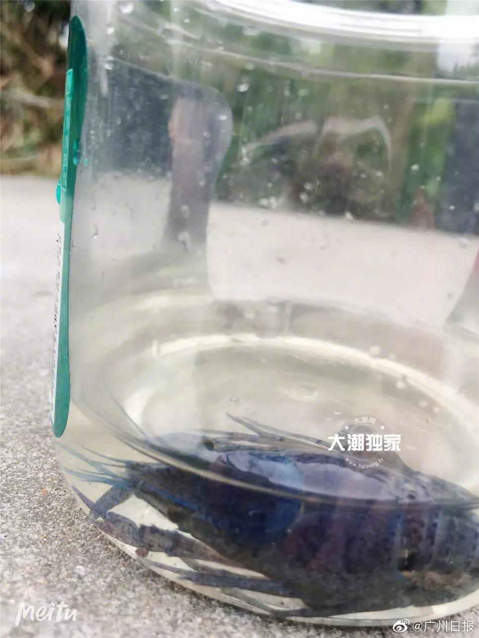 香港妇女搡BBBB搡BB