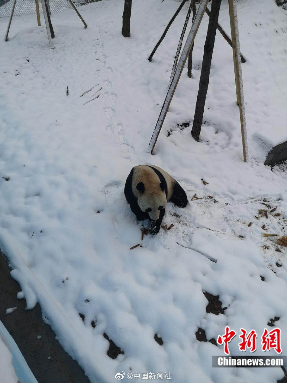 一区二区福利