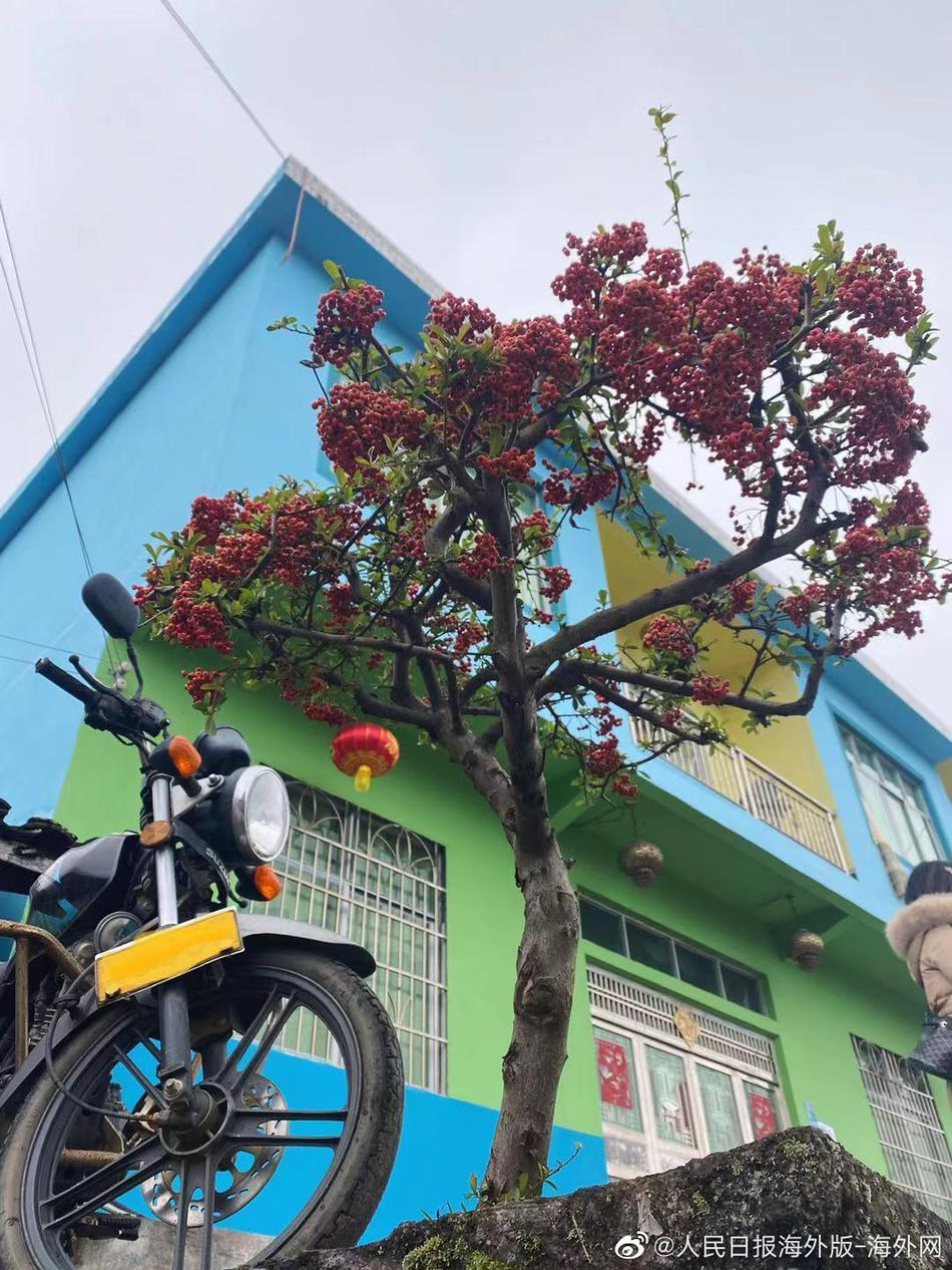看一级黄片