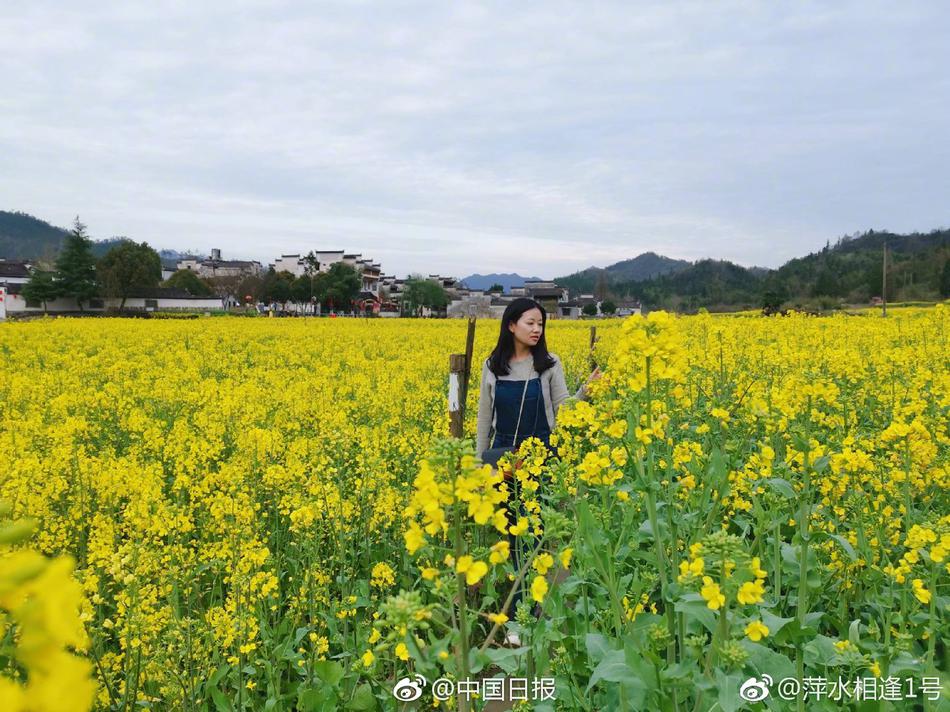 苍井空黄色视频