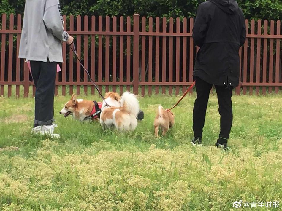 中國人翻墙撸