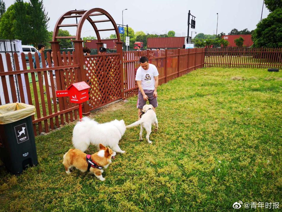 孕妇     孕交孕