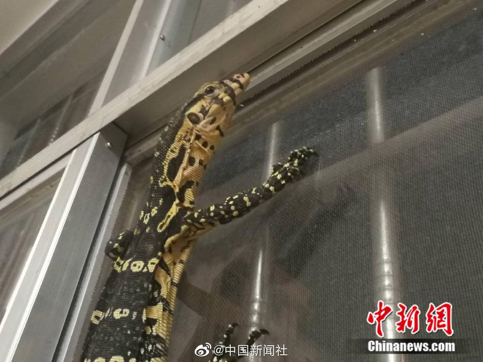 法国复古贵妇性经典分类及含义