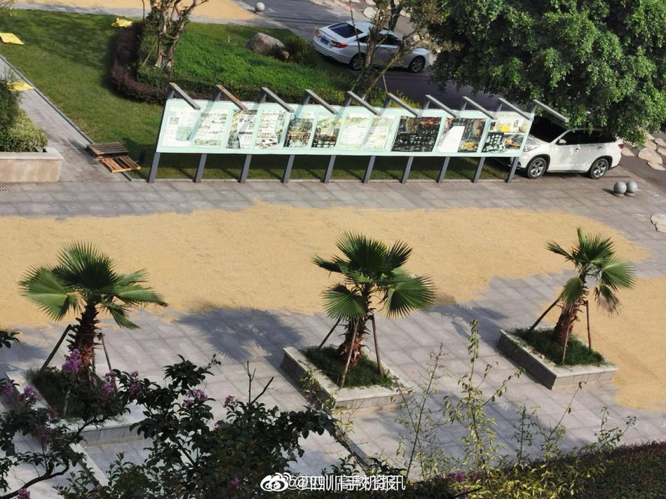 神秘电影5条免费路线vip