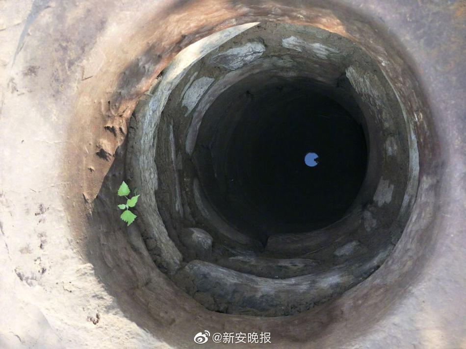 免费 观看 色情 网