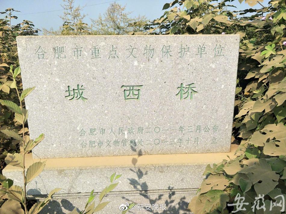 免费观看中国中老年人黄色视频