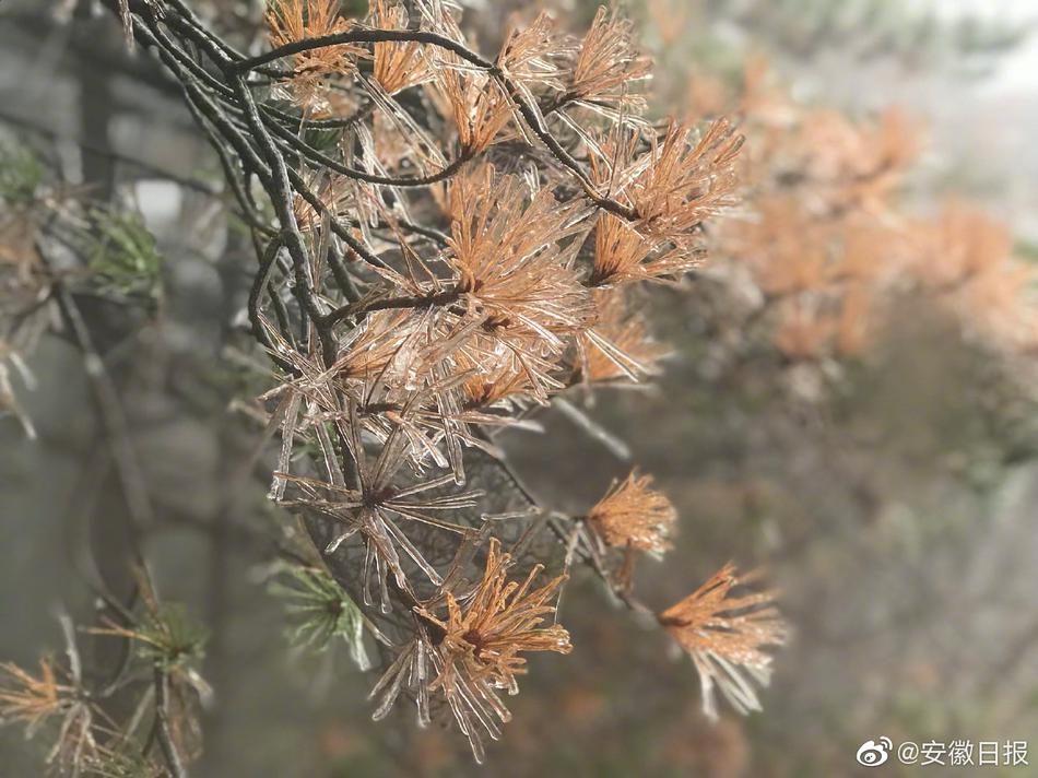 91暗网