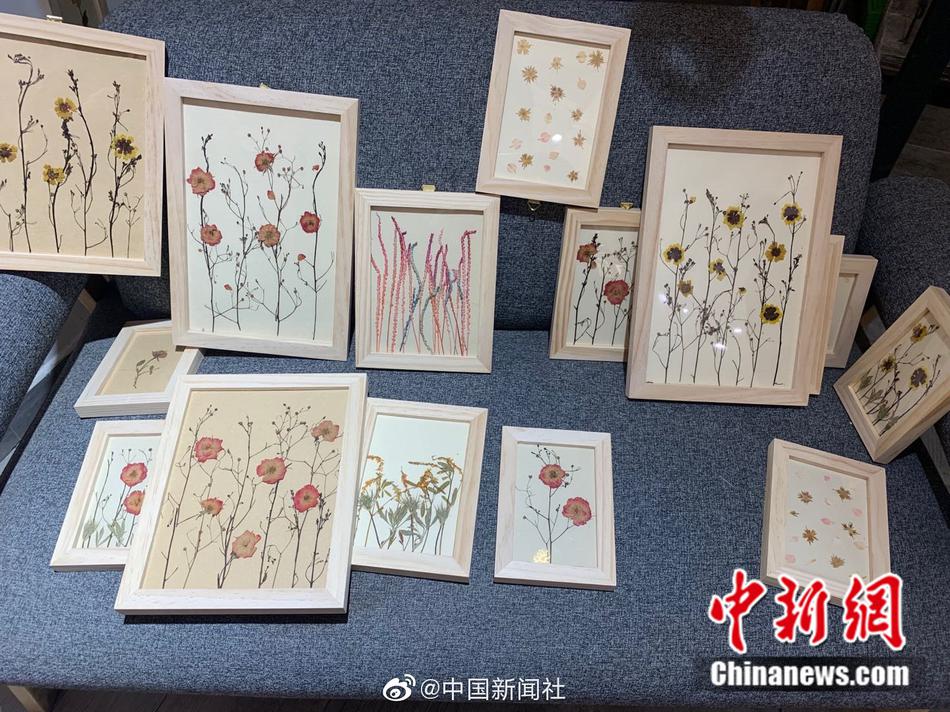 free性老太HD性大叫