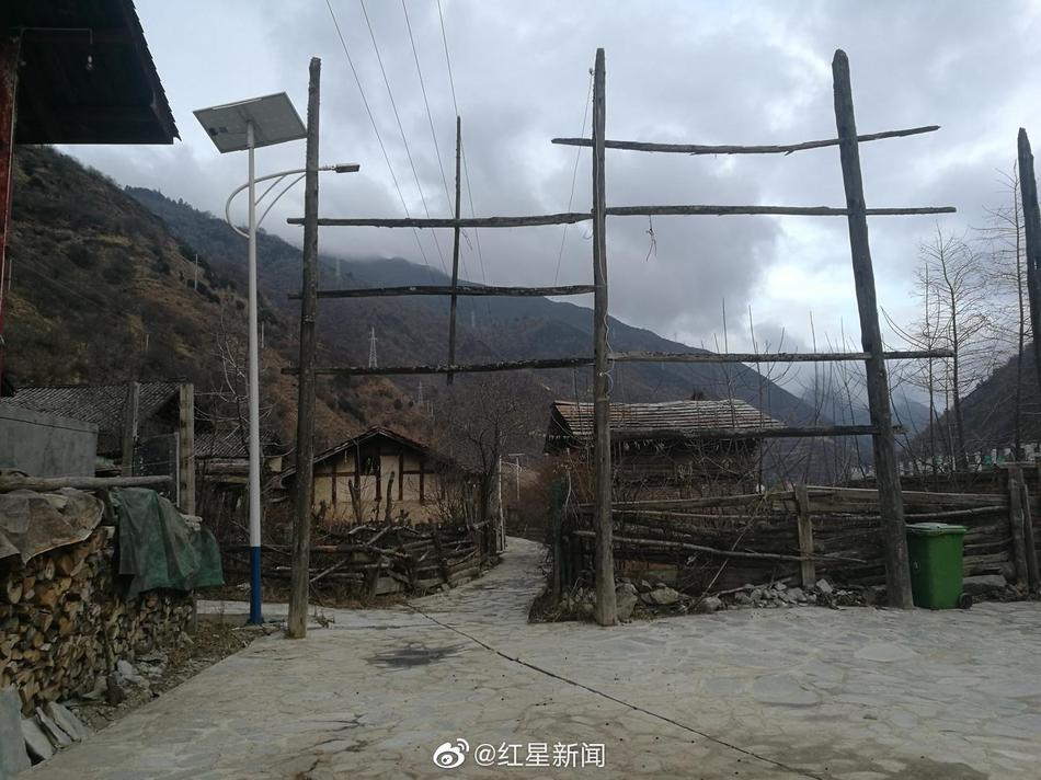 欧洲人兽黄色网站