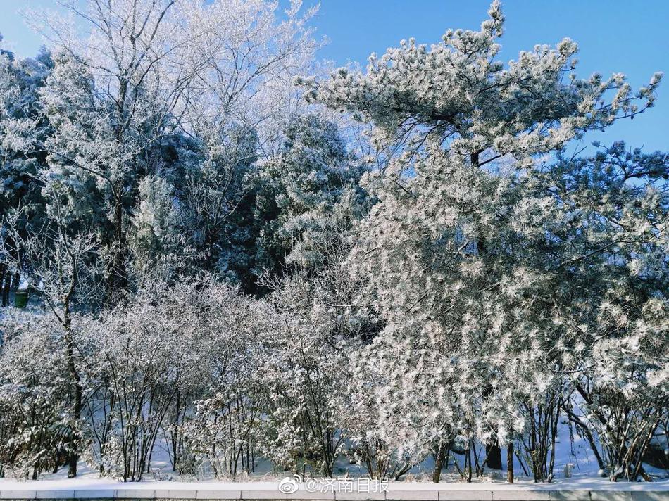 玩小雪跪趴把腿分到最大影视频