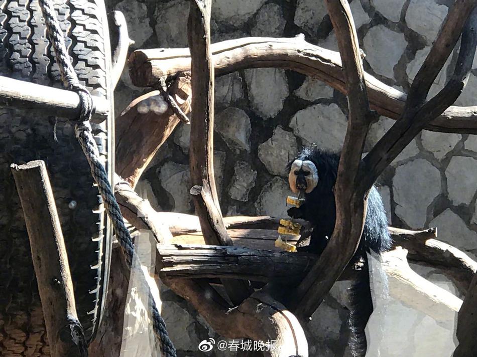 淫男乱女小雄