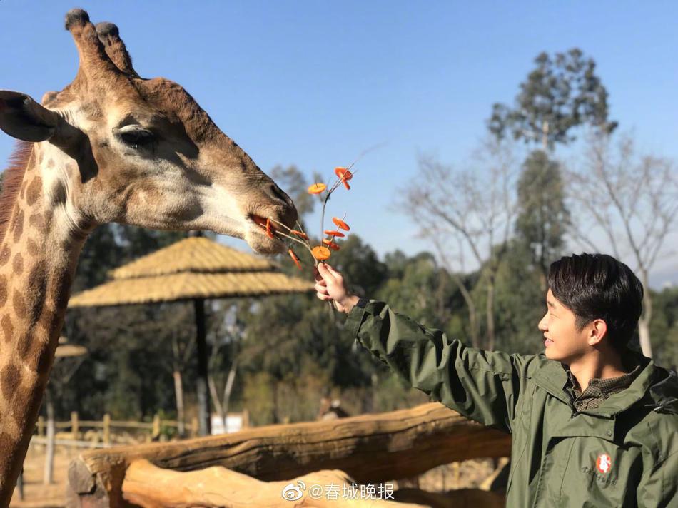 人妻一级性生活片