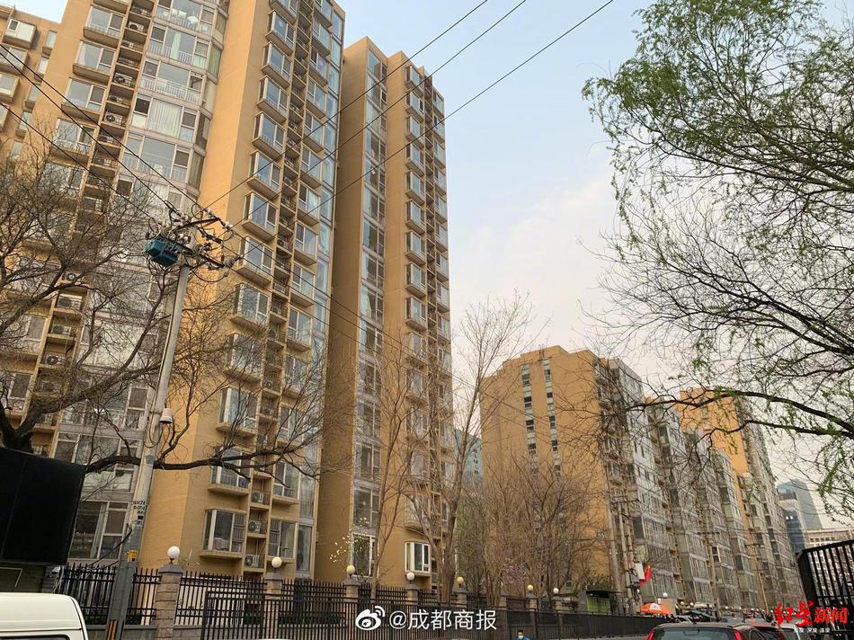 塞跳蛋上课