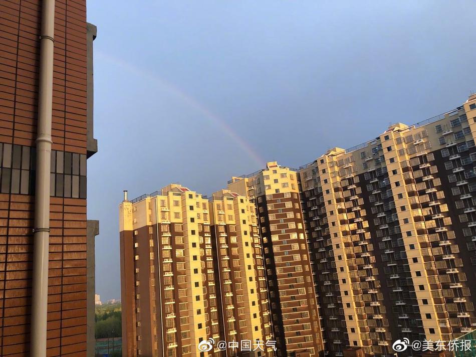 中文一区二区