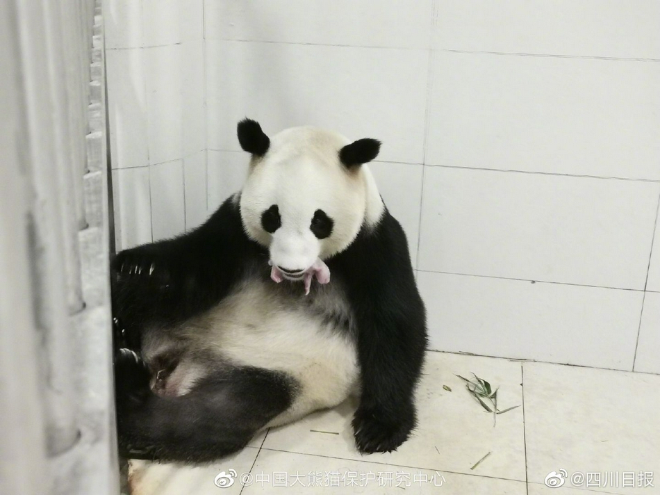 关晓彤看A片无 码明里