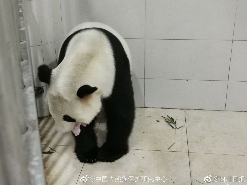 91无人区码一码二码三码的特点