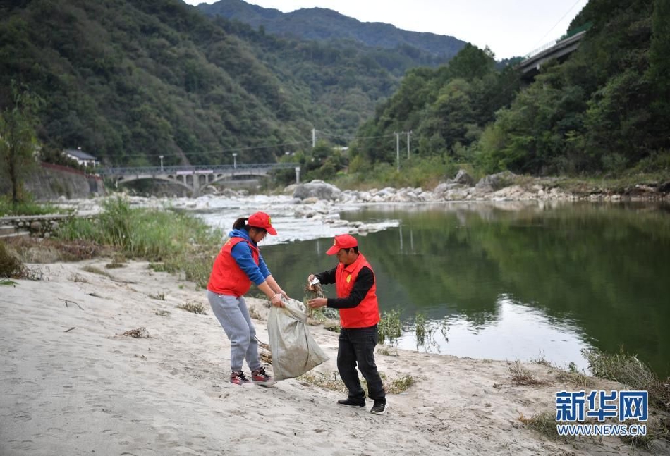 女人与狗操逼播放搜索