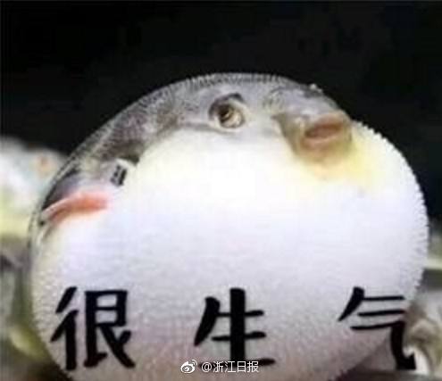 薇尔希魔改冷狐版1.9g