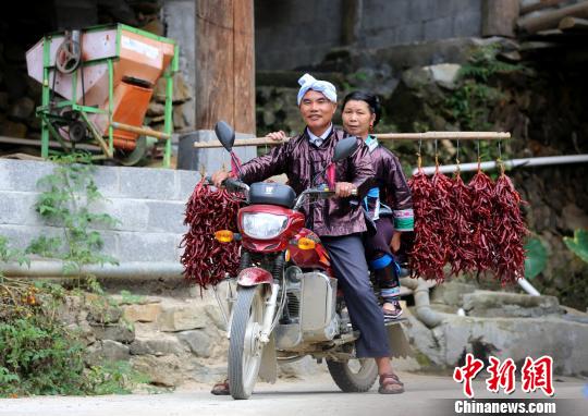 欧美影院一区