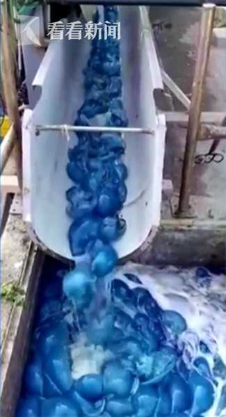 乱入黄色网站