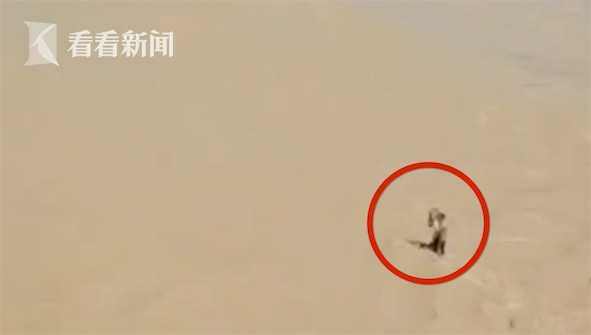 国外三级片网站