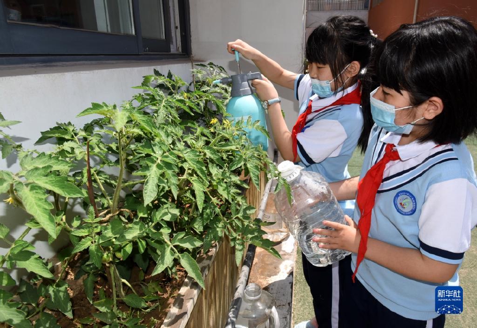 杨幂被揉到高潮喷了