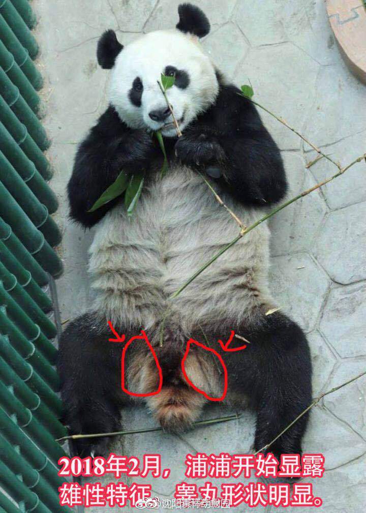 欧美人体裸体照