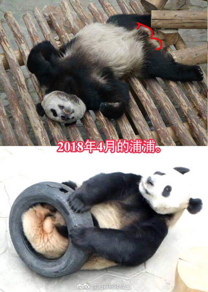 韩国黄色毛片