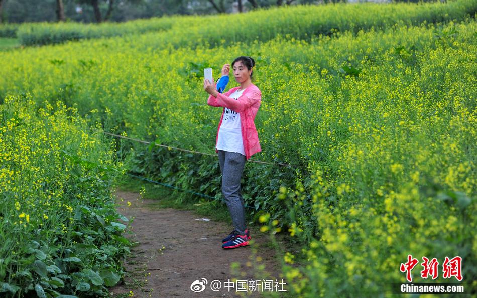 美女免费剃毛三级片