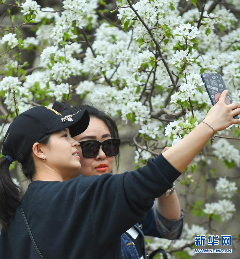 巨乳輪