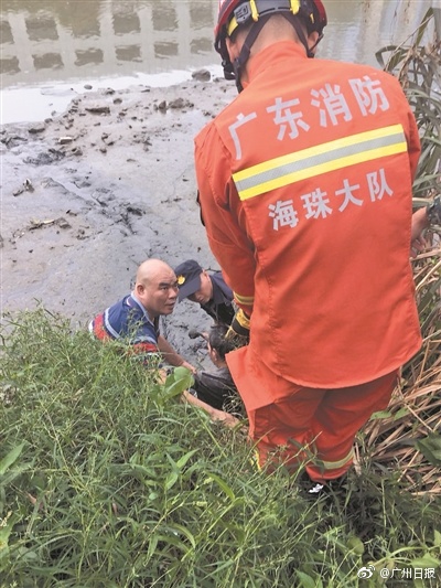 免费高清无码黄色网站