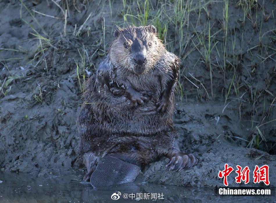 国外全黄网站
