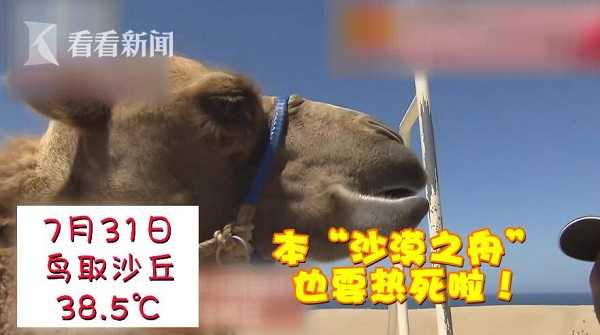 国产同性卖身男男黄G片