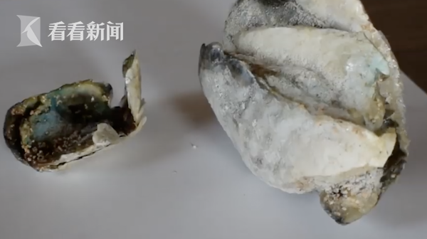 男人操女人的软件