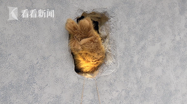 美国性爱网址