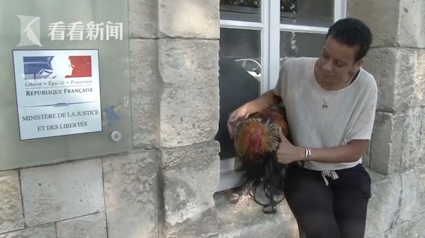 黄桃直播