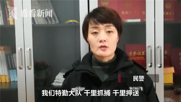 艳照门张柏芝口交