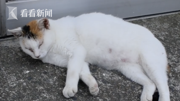 天天爱天天操