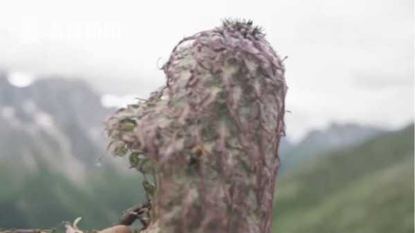 Xxxx性公交车上激情Xxxxx