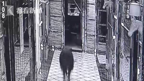 Av自拍 性爱社区