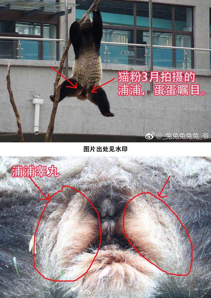 七十路熟妇