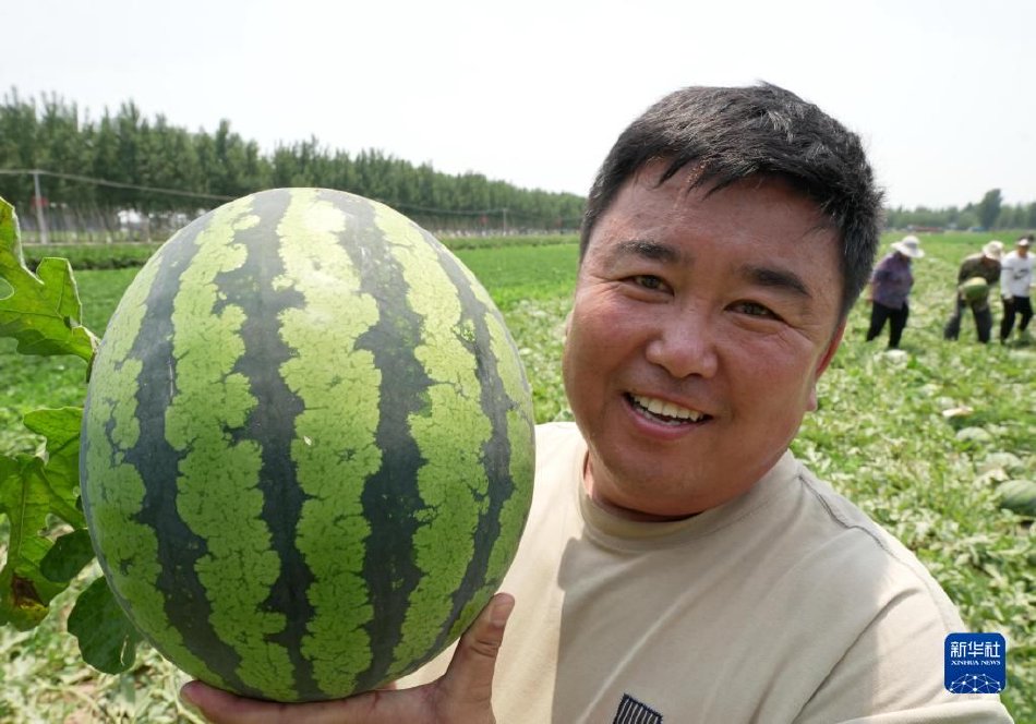 阿部定