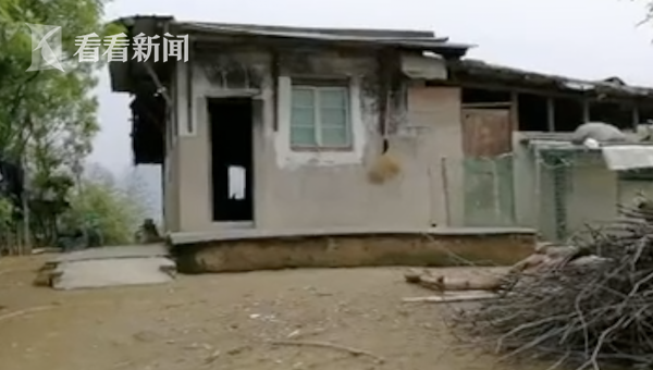 发个免弗的黄片看看