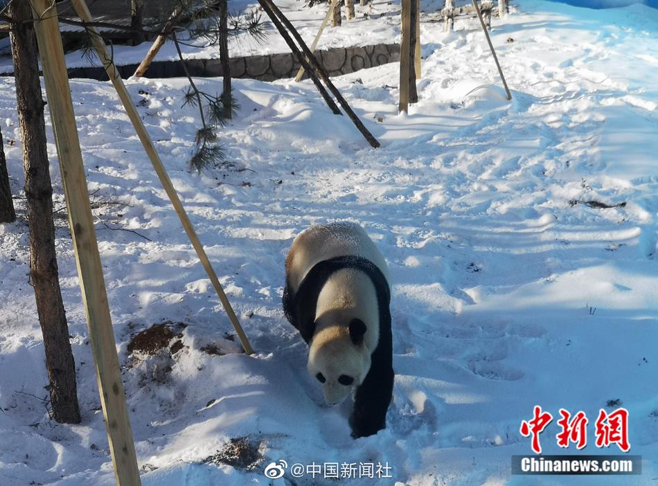 周子瑜性愛