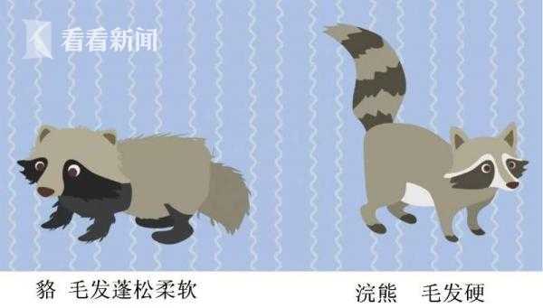 装睡被陌生人揉到高潮